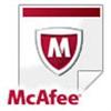 McAfee Technical Support - Technical support - emergency phone consulting - 1 year - 24x7 - for Active Virus Defense - 1 node - Perpetual Plus - level E ( 251-500 ) AVDYFM-AA-EA